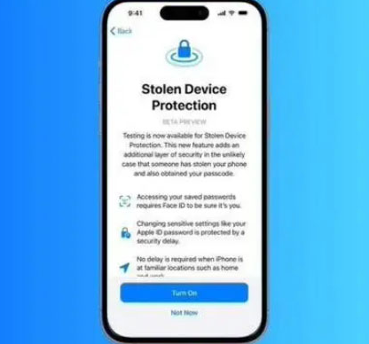 庆云苹果授权维修店分享被盗设备保护功能开启方法 