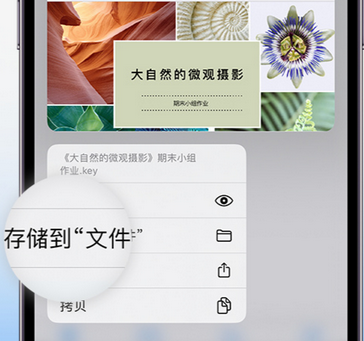 庆云apple维修中心分享iPhone文件应用中存储和找到下载文件