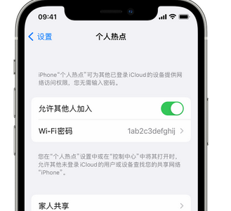 庆云apple服务站点分享iPhone上个人热点丢失了怎么办 