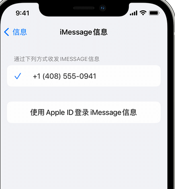 庆云apple维修iPhone上无法正常发送iMessage信息 