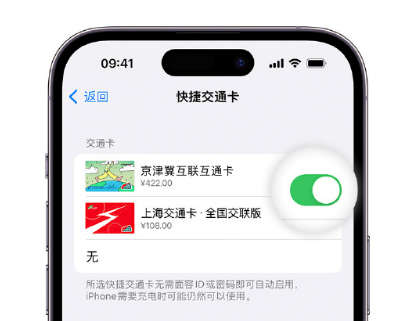 庆云apple维修点分享iPhone上更换Apple Pay快捷交通卡手绘卡面 