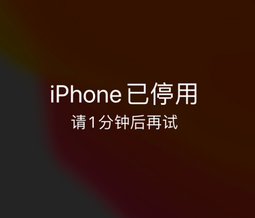 庆云苹果手机维修分享:iPhone 显示“不可用”或“已停用”怎么办？还能保留数据吗？ 