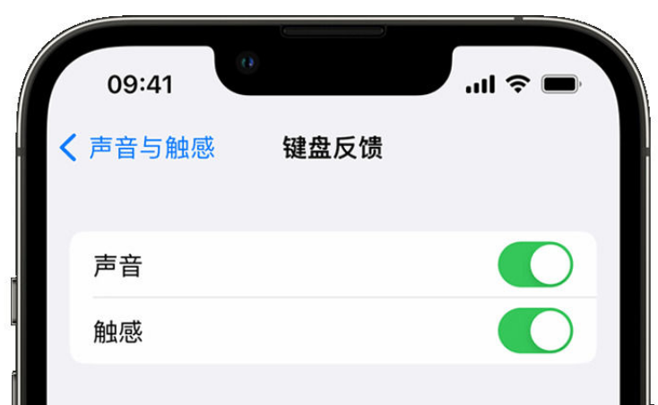 庆云苹果手机维修分享iPhone 14触感键盘使用方法 