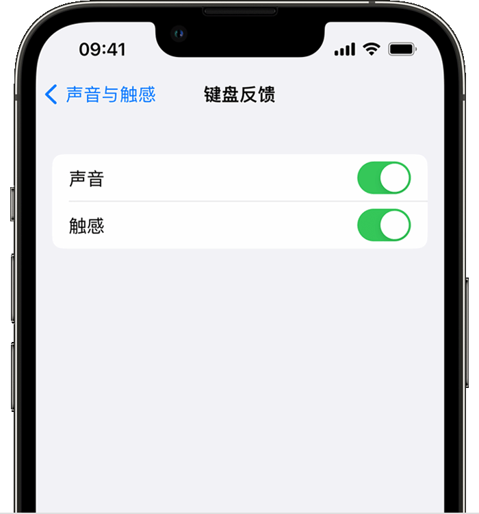 庆云苹果14维修店分享如何在 iPhone 14 机型中使用触感键盘 