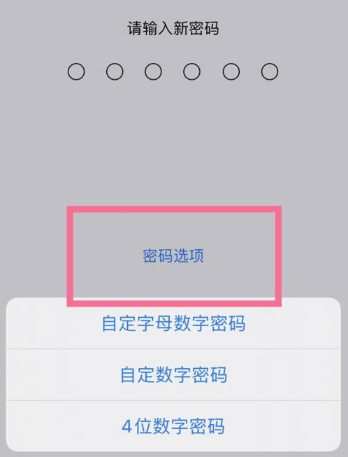 庆云苹果14维修分享iPhone 14plus设置密码的方法 