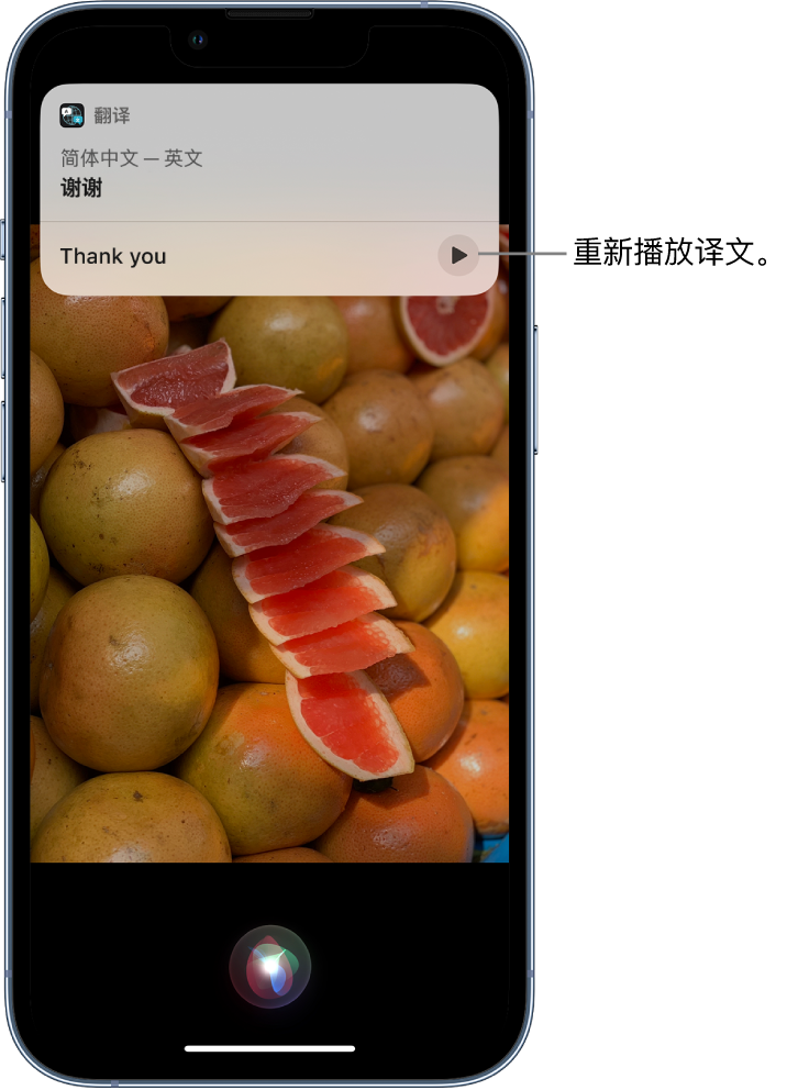 庆云苹果14维修分享 iPhone 14 机型中使用 Siri：了解 Siri 能帮你做什么 