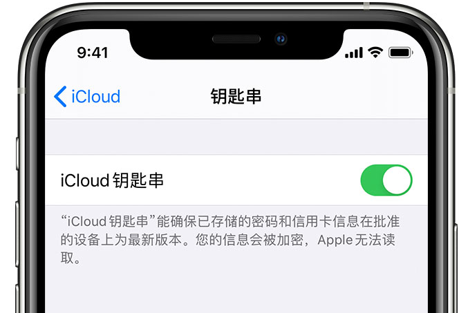 庆云苹果手机维修分享在 iPhone 上开启 iCloud 钥匙串之后会储存哪些信息 