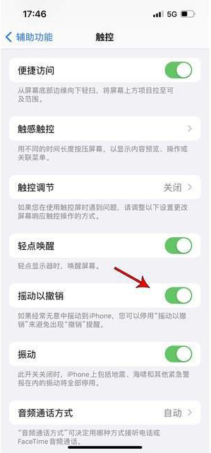 庆云苹果手机维修分享iPhone手机如何设置摇一摇删除文字 