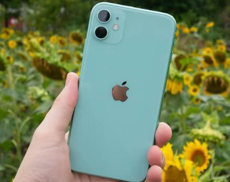 庆云苹果维修点分享iPhone 11锁屏密码认知与使用科普 